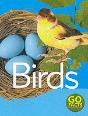 Birds - Preview