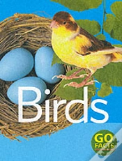 Capa do artigo Birds