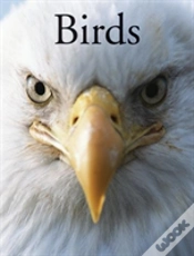 Capa do artigo Birds