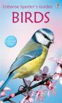 Birds - Preview