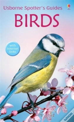 Capa do artigo Birds