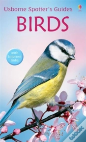 Capa do artigo Birds