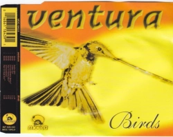 Capa do artigo Birds (Remixes) - CD