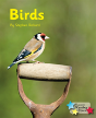 Birds - Preview