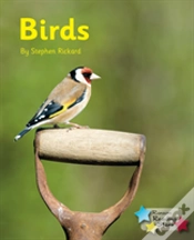 Capa do artigo Birds