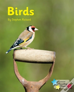 Capa do artigo Birds