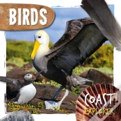 Capa do artigo Birds