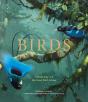 Birds - Preview