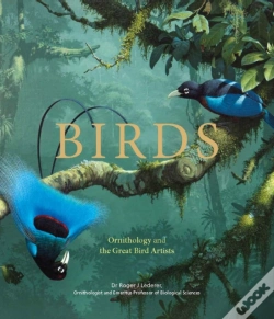 Capa do artigo Birds