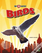 Capa do artigo Birds