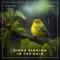 Birds Singing In The Rain - Preview