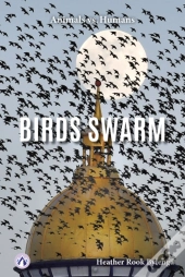 Birds Swarm