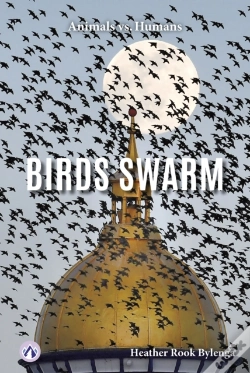 Capa do artigo Birds Swarm