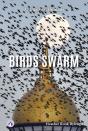 Birds Swarm - Preview