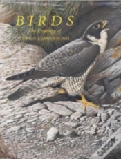 Capa do artigo BIRDS