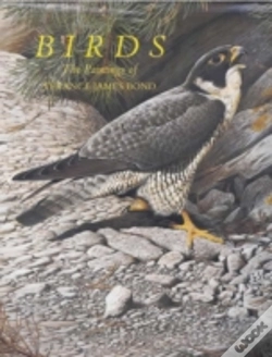 Capa do artigo BIRDS