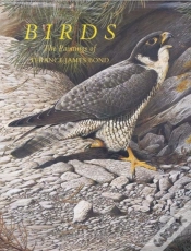 Capa do artigo Birds