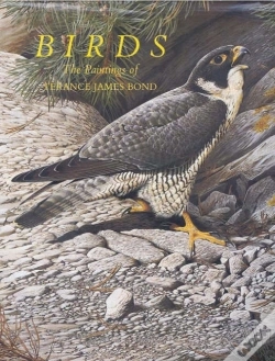 Capa do artigo Birds