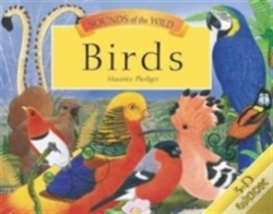 Capa do artigo Birds