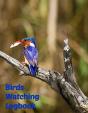 Birds Watching Logbook: Birders Journal - Preview
