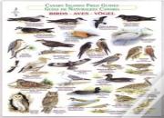 Birds (Waterproof Field Guide)