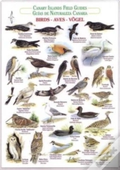 Birds (Waterproof Field Guide)