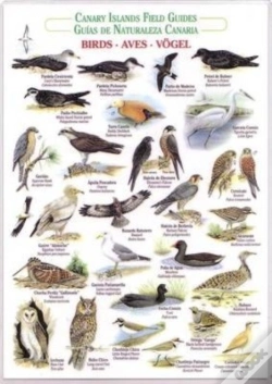 Capa do artigo Birds (Waterproof Field Guide)