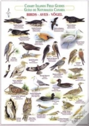 Capa do artigo Birds (Waterproof Field Guide)