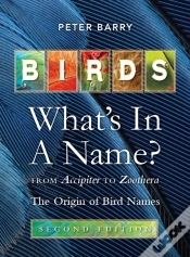 Capa do artigo Birds: What