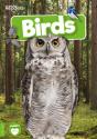 Birds - Preview