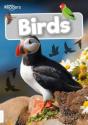 Birds - Preview