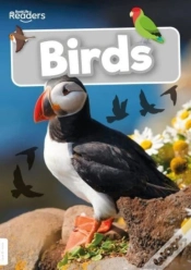 Capa do artigo Birds