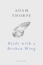 Birds With A Broken Wing - Preview