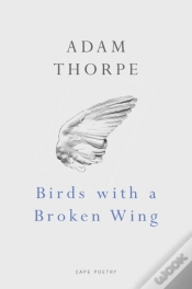 Capa do artigo Birds With A Broken Wing