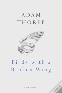 Capa do artigo Birds With A Broken Wing