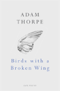 Birds With A Broken Wing - Preview