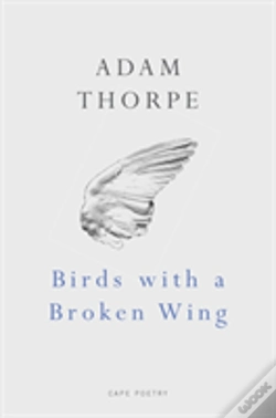 Capa do artigo Birds With A Broken Wing