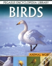 Capa do artigo Birds