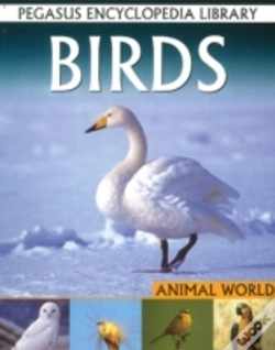 Capa do artigo Birds