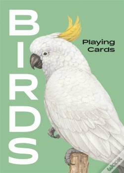 Capa do artigo Birds