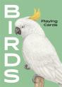 Birds - Preview