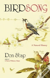 Birdsong