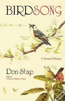 Capa do artigo Birdsong