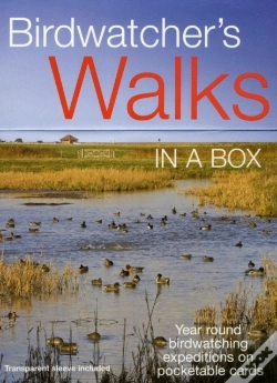 Capa do artigo Birdwatchers Walks In A Box