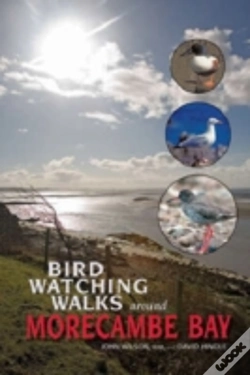 Capa do artigo Birdwatching Walks Around Morecambe Bay