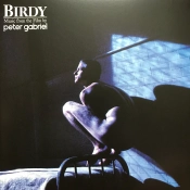 Capa do artigo Birdy - Vinil