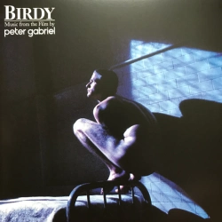 Capa do artigo Birdy - Vinil