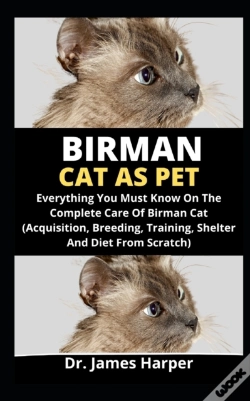 Capa do artigo Birman Cat As Pet