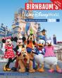 Birnbaum'S 2024 Walt Disney World - Preview