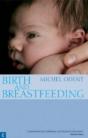Birth And Breastfeeding - Preview